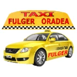 Logo of TAXI Fulger Oradea android Application 